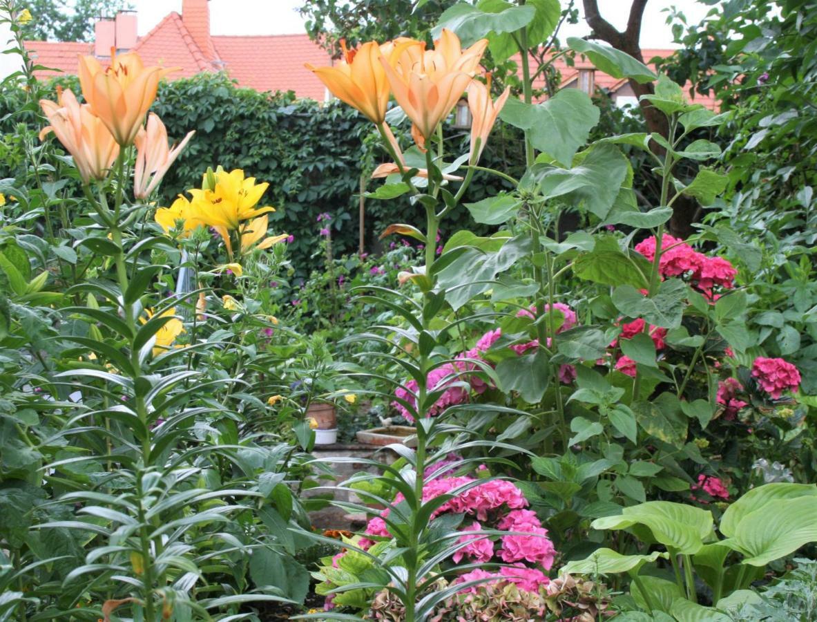 Herrenhof Worms Eksteriør billede